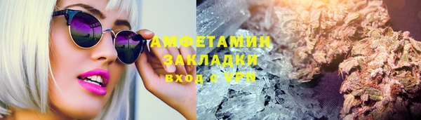 индика Балабаново