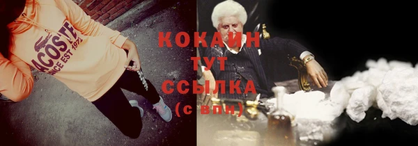 индика Балабаново