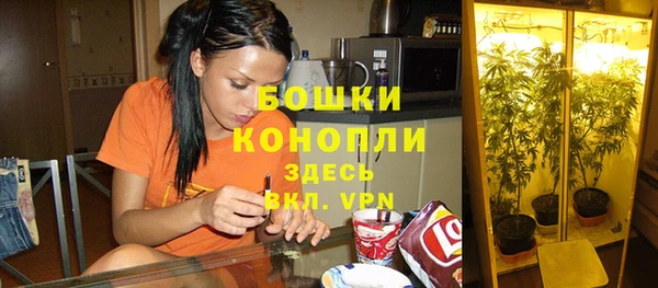индика Балабаново