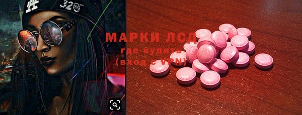 индика Балабаново