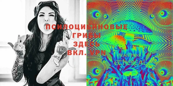 индика Балабаново